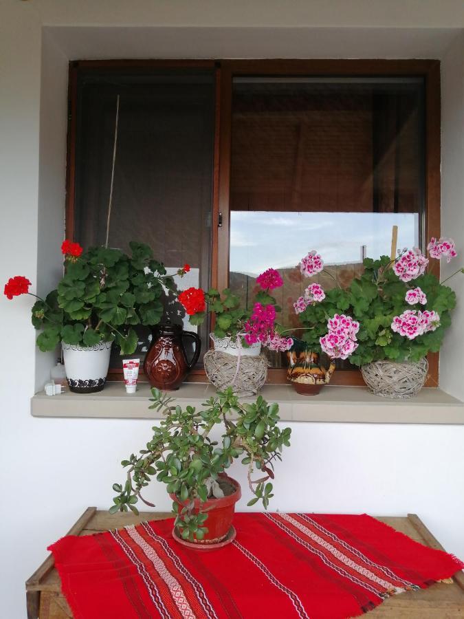 Krushunska Panorama Hotel กรูชูนา ภายนอก รูปภาพ
